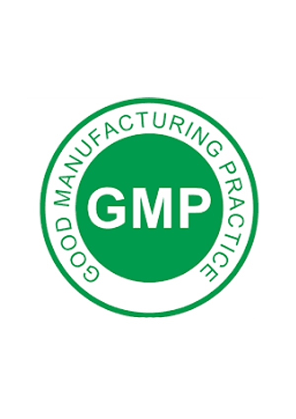 GMP Logo